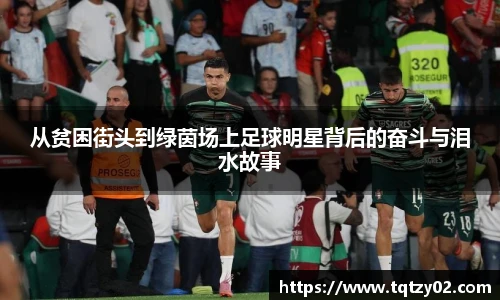 韦德体育bevictor