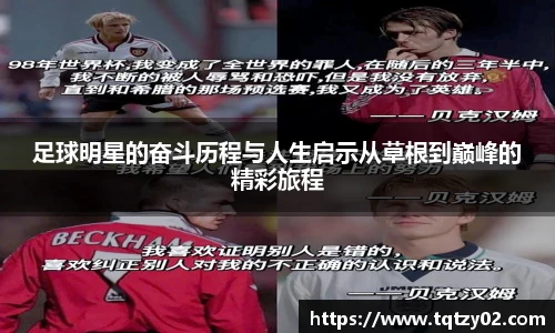 BV伟德官方网站